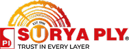 Client Partner Logo